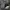 Nike Jordan Low  Wear Away