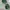 Kacamata Rayban Green Lens Original