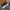 Nike Jordan low Wear Away photo 3
