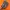 salomon xt6 goretex
 photo 5