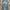 JEANS ACCENT SELVEDGE