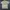 Vintage Y2K T-shirt Pria cream tan photo 1