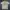 Vintage Y2K T-shirt Pria Cream Tan
