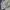 Vintage Y2K T-shirt Pria cream tan photo 3