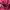 Nike Vintage Y2K Hoody Pria burgundy photo 7