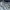 MLB Vintage Sportswear Hoody Pria silver navy photo 8