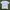 Nike Air Tshirt / Nike Tee / Nike Tennis / Nike 90's photo 1