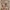 Cheongsam 90's photo 1