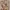 Cheongsam 90's