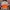 Streetwear Hoody Pria multicolor photo 4