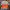 Streetwear Hoody Pria multicolor photo 1