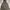 nike tech camo parasut photo 2