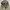 nike tech camo parasut photo 1