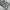 Jeans fadding gacor photo 6