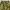 realtree baggy pants photo 6