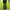 realtree baggy pants photo 4