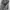 Gianni Valentino Minimalist Casual Blazer Pria silver gray photo 3
