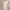 H&M Casual Midi Dress Wanita White