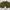 Giordano Slim Tapered Ankle Length Pants - Olive Green photo 1