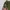 Giordano Slim Tapered Ankle Length Pants - Olive Green photo 5