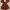 H&M RUST BROWN JUMPSUIT photo 5