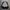 Crocodile Casual Harrington Flight Jacket photo 7