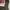 Uniqlo Stylish Nylon Culotte Pants – Breathable & Trendy photo 2