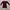 WAREHOUSE FASHION PURPLE CHEETAH CARDIGAN photo 3