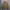 Uniform Bridge & Co Canvas Bomber Jacket photo 1