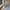 Uniform Bridge & Co Canvas Bomber Jacket photo 6
