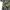 Big size over size vintage shirt open collar  photo 4