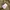 Easy Pants Espionage beige photo 7