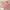 Lodispotto Cardigan Coquette Jepang Salem / Salmon