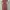Pinky Dress Wanita Longdress Pink Peach Korean photo 2