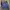 Adidas Streetwear Y2K Windbreaker Pria blue photo 1