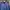 Adidas Streetwear Y2K Windbreaker Pria blue photo 2