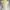Coquette Midi dress Wanita white photo 3