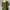 Casual Going out dress Wanita green photo 1