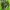 Puma Streetwear T-shirt Pria Green