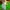 Puma Streetwear T-shirt Pria green photo 4