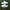 Adidas Sambarose White Gum Outsole photo 1