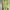 Casual Going out dress Wanita green yellow photo 2
