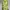 Casual Going Out Dress Wanita Green Yellow