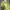 Casual Going out dress Wanita green yellow photo 1