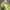 Casual Going Out Dress Wanita Green Yellow