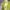 Casual Going out dress Wanita green yellow photo 3