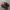 new balance 1906 photo 1