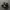 adidas superstar photo 1