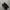 adidas superstar photo 3