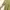 Dress lime big size photo 2